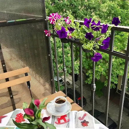 Charming Centre Apartment *